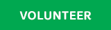 Volunteer with Girl Scouts