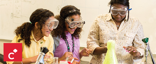hero_cadette Girl Scout Cadettes