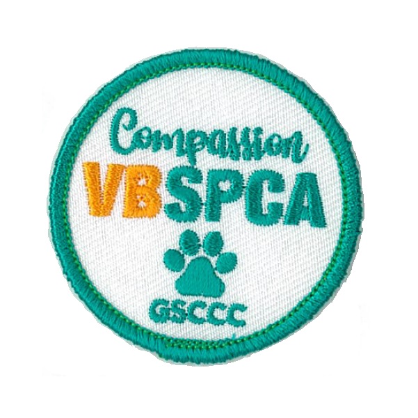 GSNCCP Pool Party Fun Patch