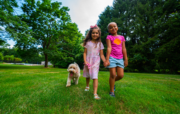 Girl Scouts walking a dog outside and holding hands