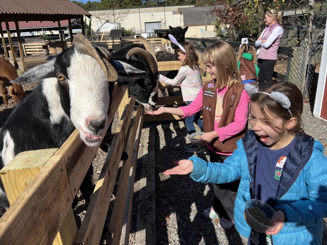 Girl Scouts made treats and toys, cleaned cages, donated supplies, shared information about pet waste with their communities, and so much more as part of earning this year’s patch.
