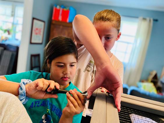 Girl Scouts working together to build enclosure