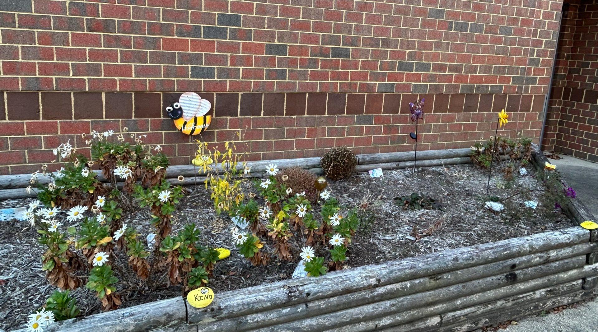  Pollinator garden built by a Girl Scout as part of a highest award project 