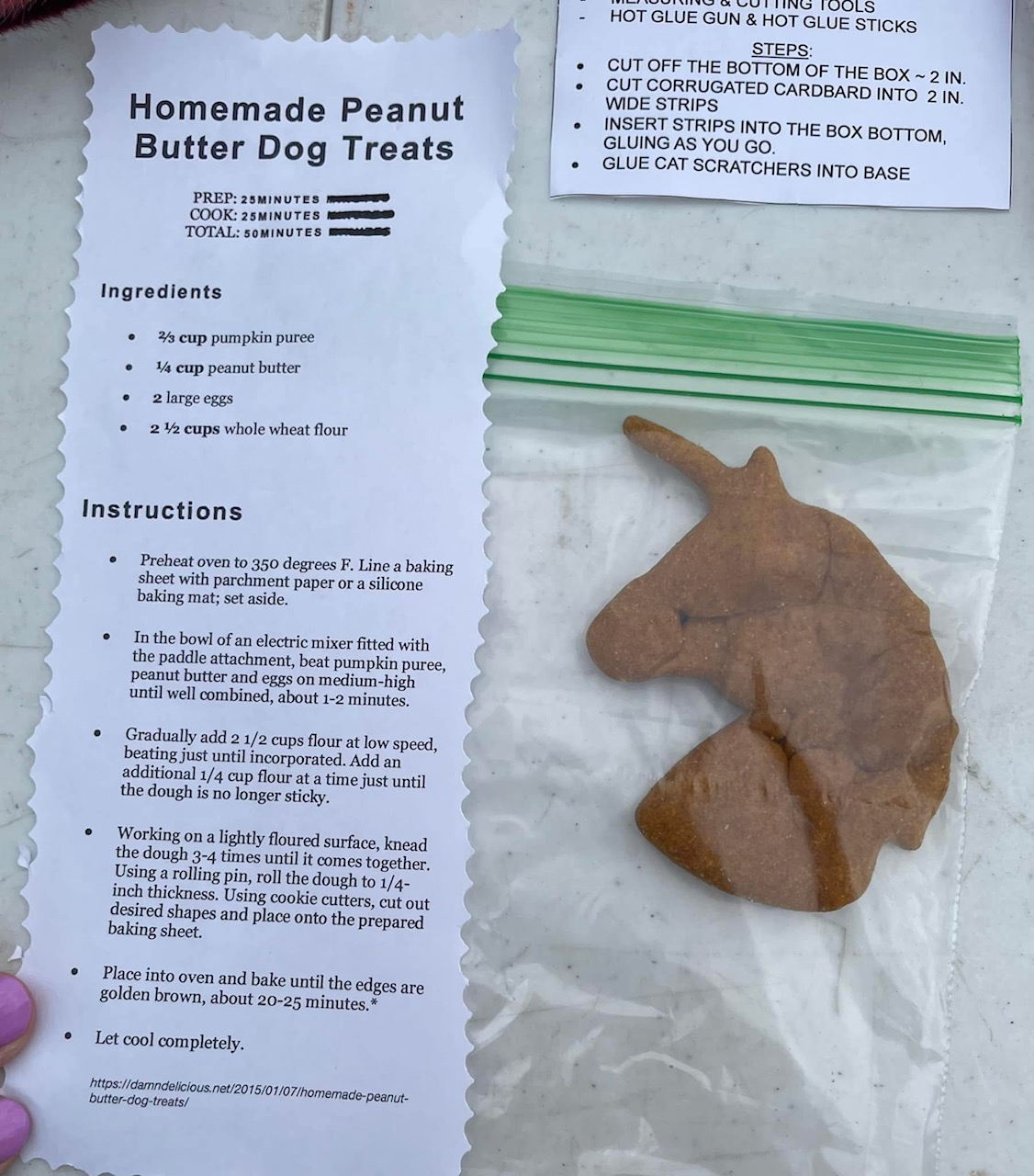 Girl Scout Juniors Evelyn and Lucy from Troop 422 in Suffolk learned how to bake treats for dogs