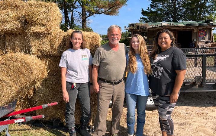 Lana at Mill Swamp Indian Horses in Smithfield, Virginia