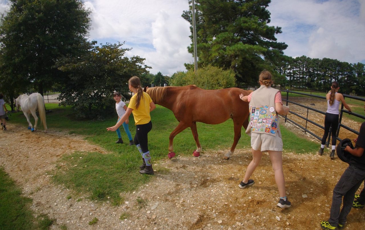 Girl Scout Cadette Emma at Roseoldian Farms