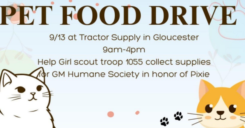 Girl Scout Cadettes Charlotte and Amber collected donations to help with their project