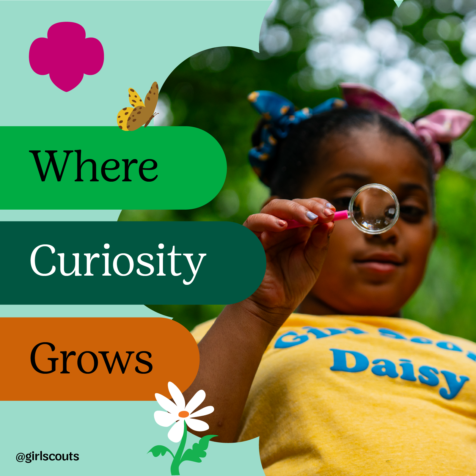 Where Curiosity Grows